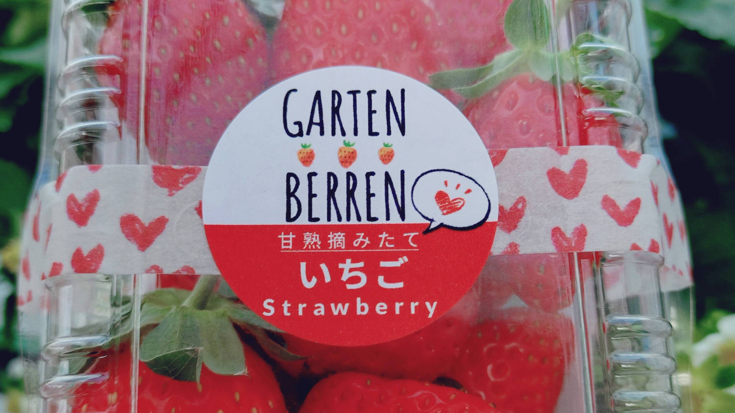レッド①苺木曜②naanaさん専用 いちご直売 いちご狩り いちご観光農園 大阪府 | 苺屋ガルテンベーレン