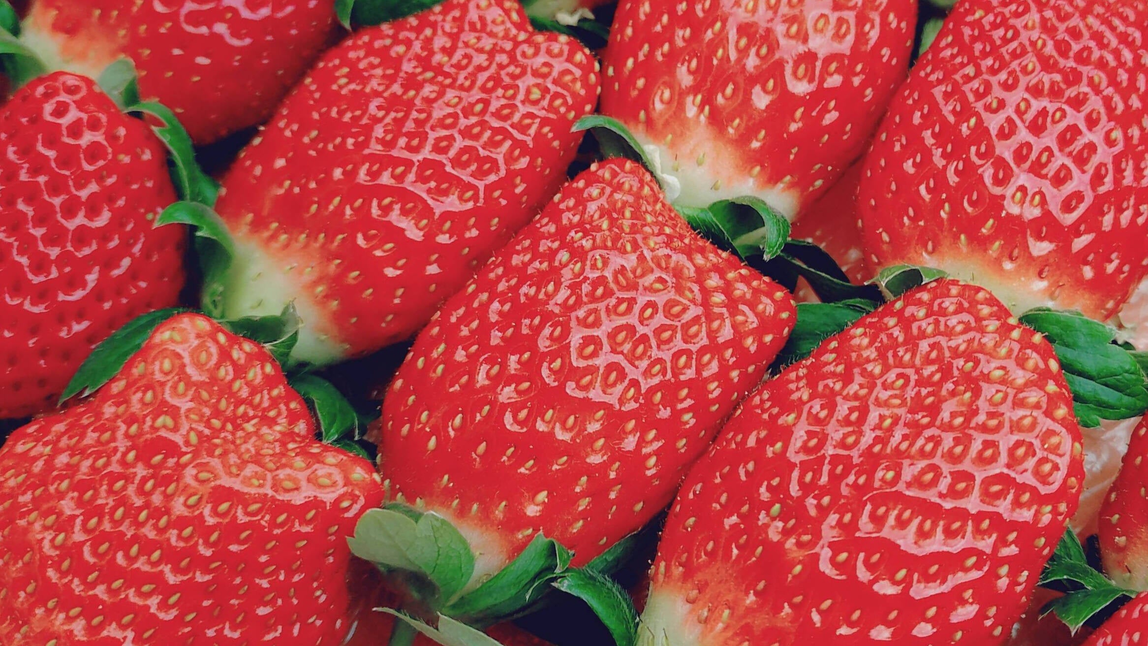 レッド①苺木曜②naanaさん専用 giftee専用 いちご 540g リボン化粧箱